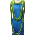 Lei Pāniani Pōkole Loʻihi